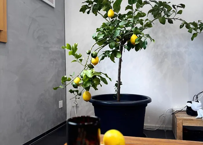 Bellevue - Montreux Heights * Saint-Legier-La Chiesaz